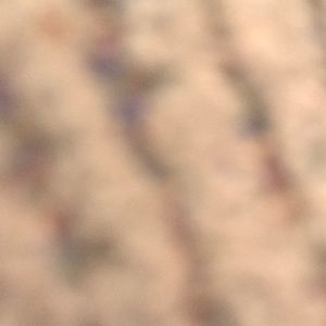 Meet your Posher, Isabella